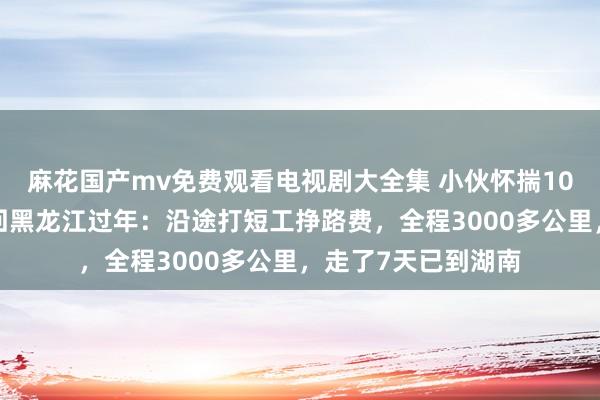 麻花国产mv免费观看电视剧大全集 小伙怀揣100元从广东坐公交回黑龙江过年：沿途打短工挣路费，全程3000多公里，走了7天已到湖南