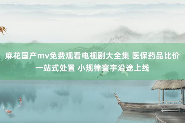 麻花国产mv免费观看电视剧大全集 医保药品比价一站式处置 小规律寰宇沿途上线